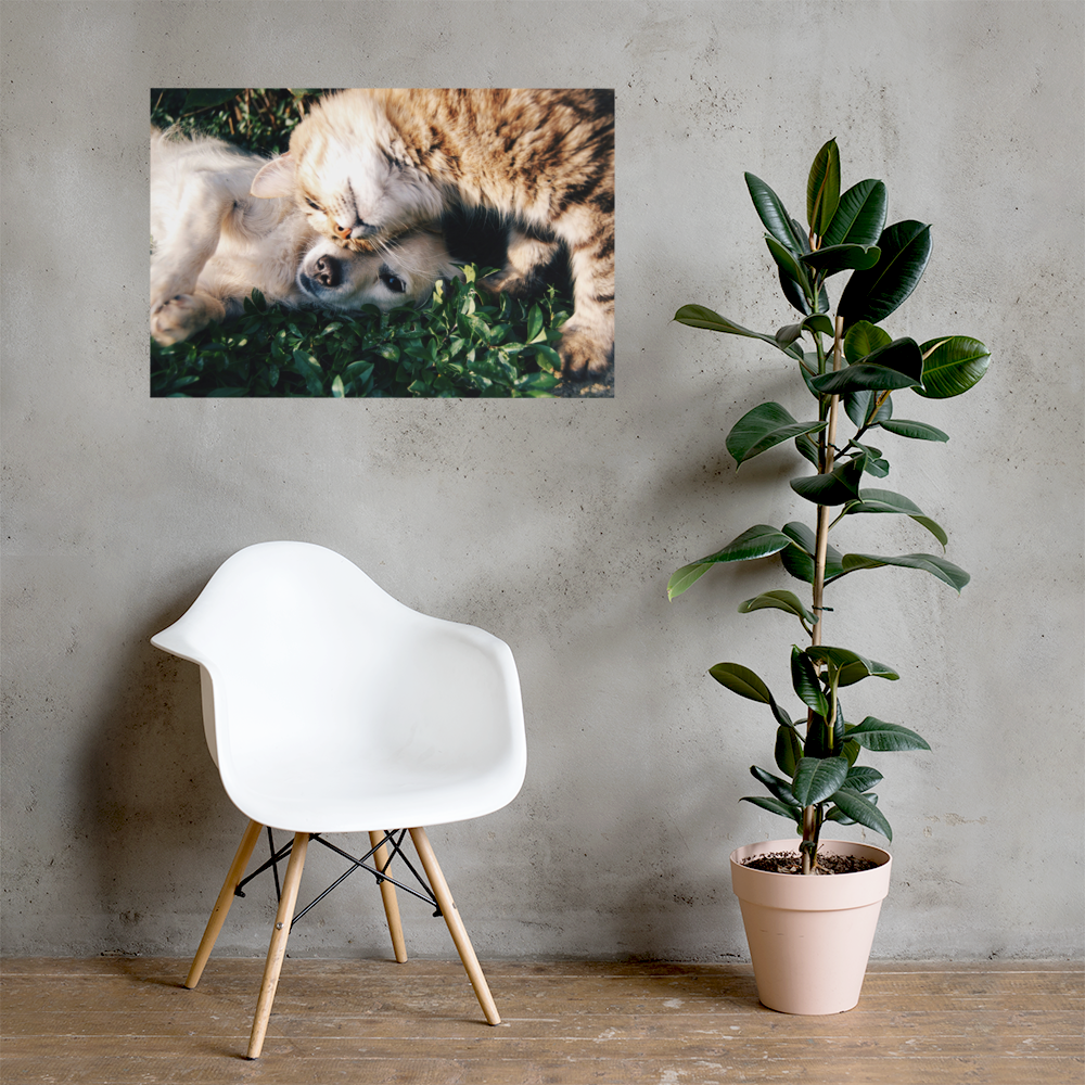 Canvas och Tavlor